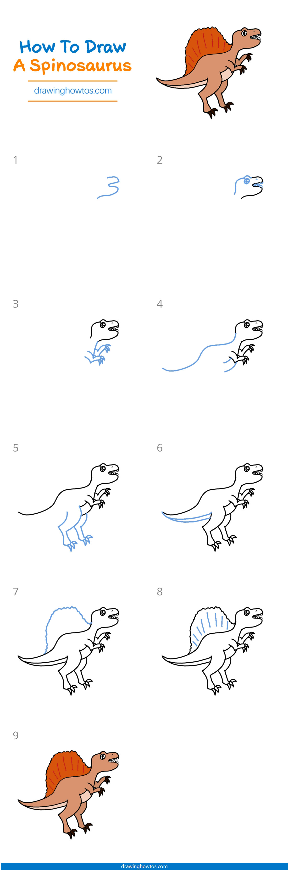 How to Draw a Spinosaurus Step by Step