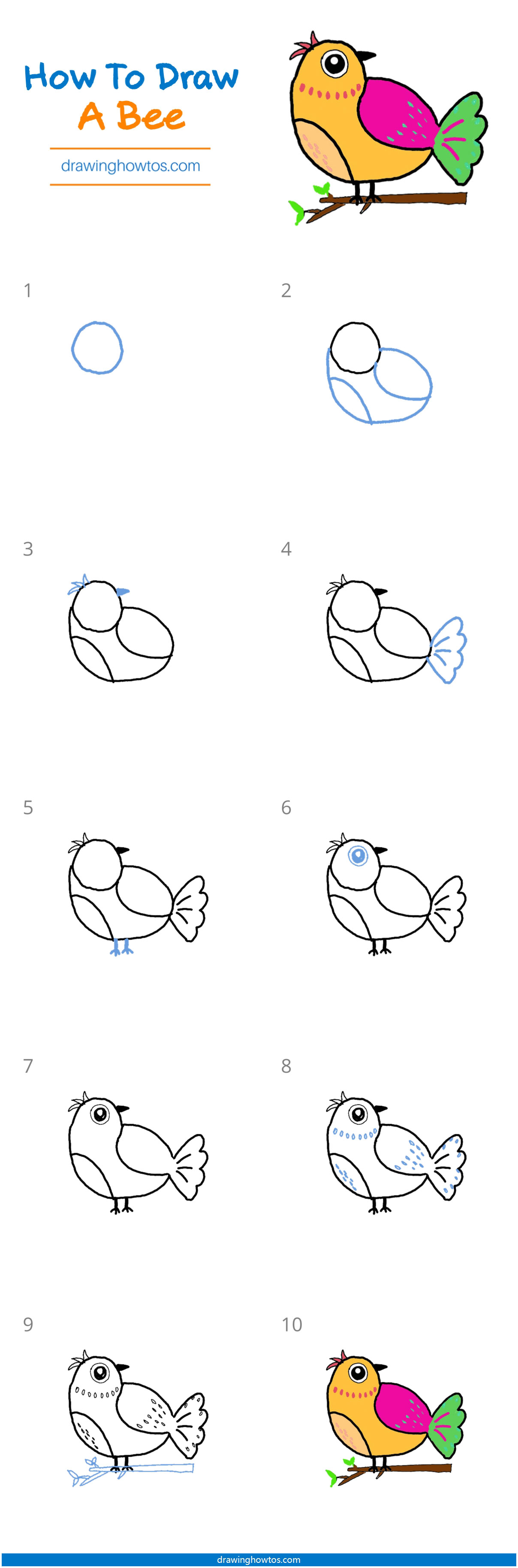How to Draw a Bird Step by Step
