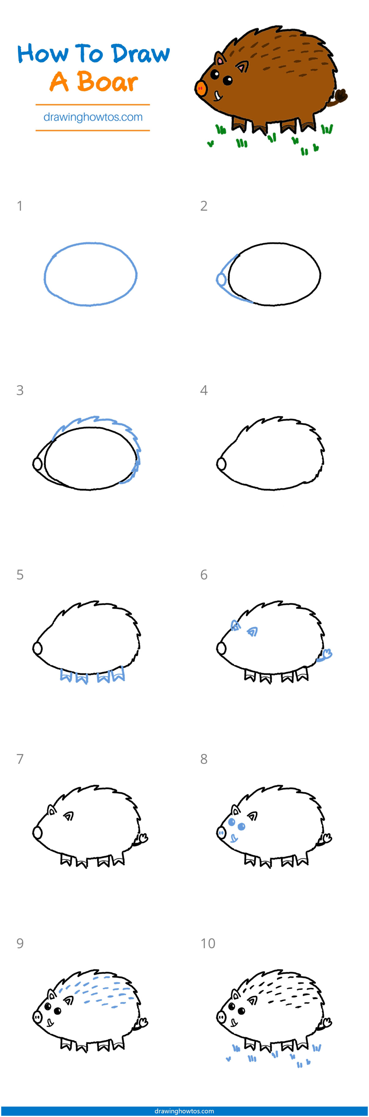 How to Draw a Boar Step by Step