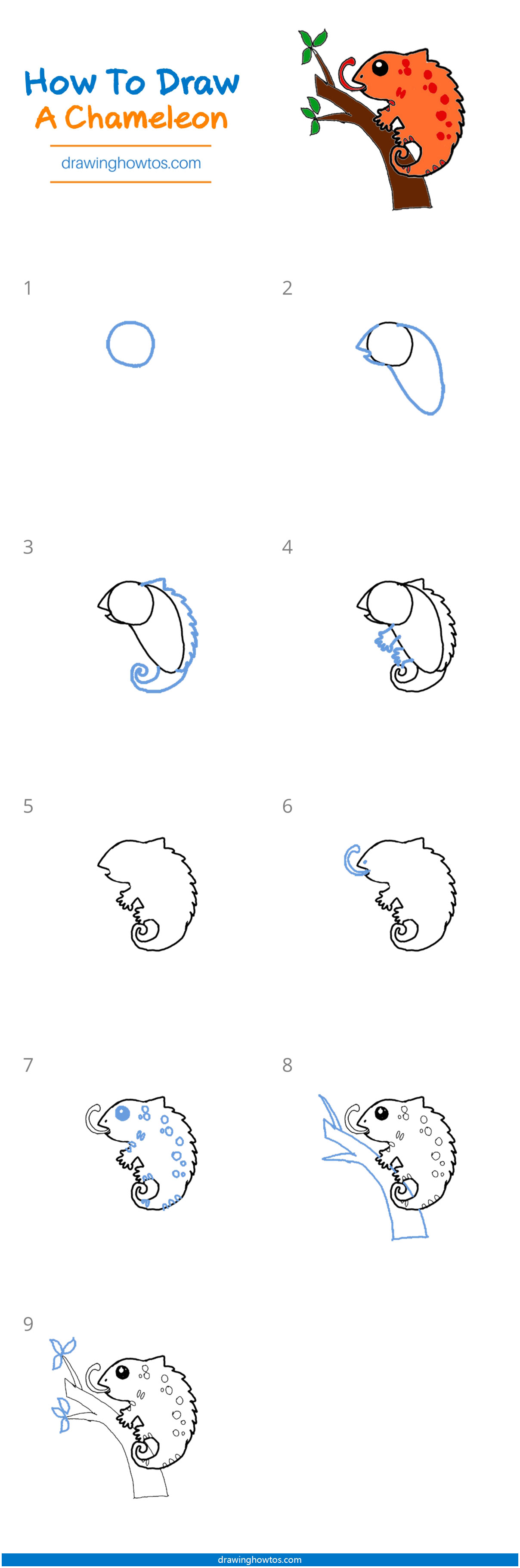 How to Draw a Chameleon Step by Step