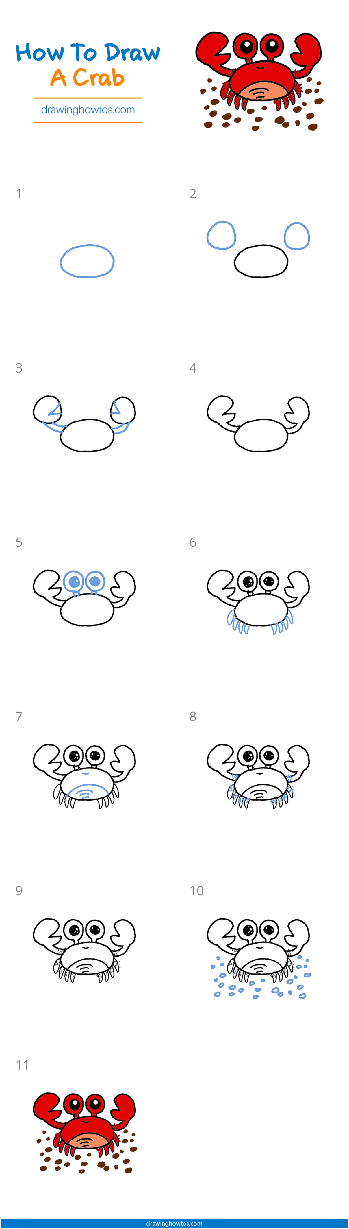 How to Draw a Crab Step by Step