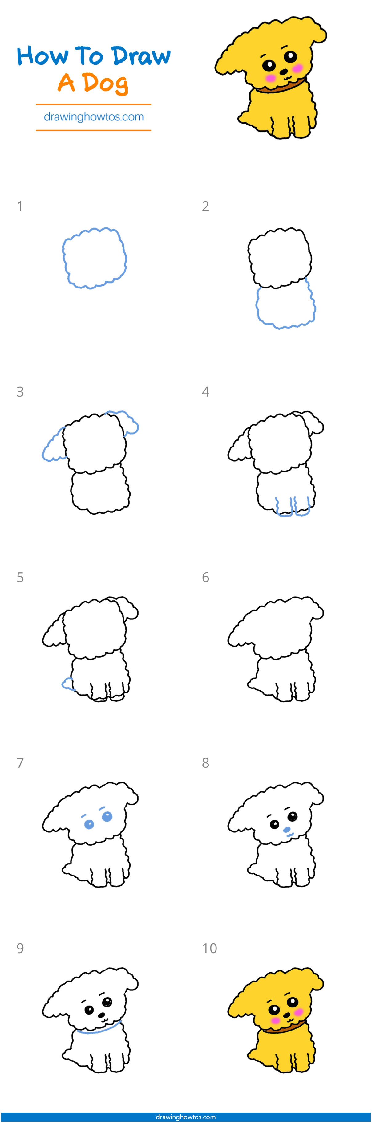 How to Draw a Teddy Bear Dog Step by Step