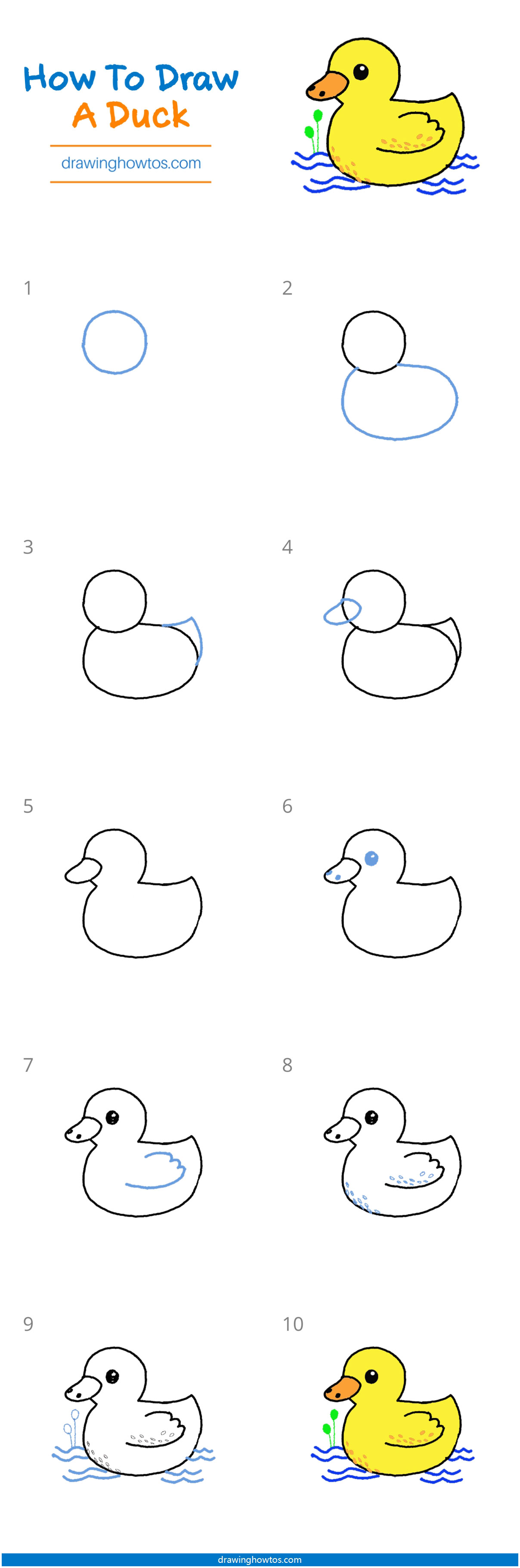 How to Draw a Duck Step by Step Easy Drawing Guides