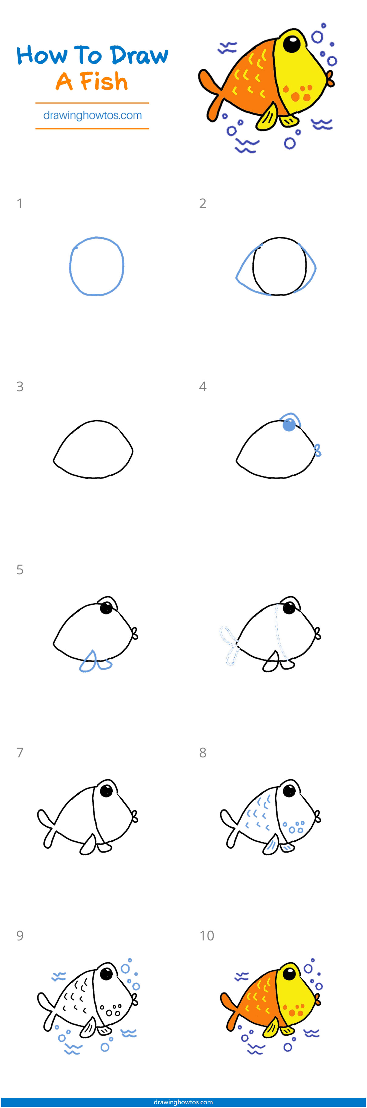 How to Draw a Fish Step by Step