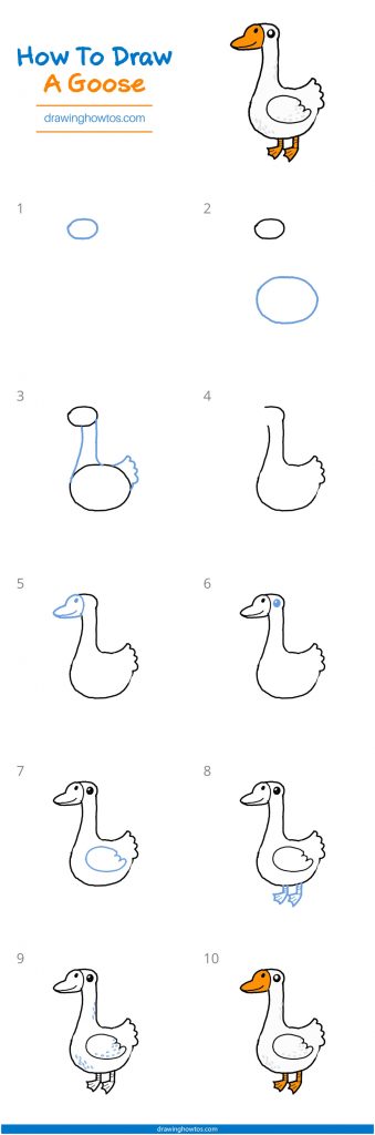How to Draw a Goose - Step by Step Easy Drawing Guides - Drawing Howtos