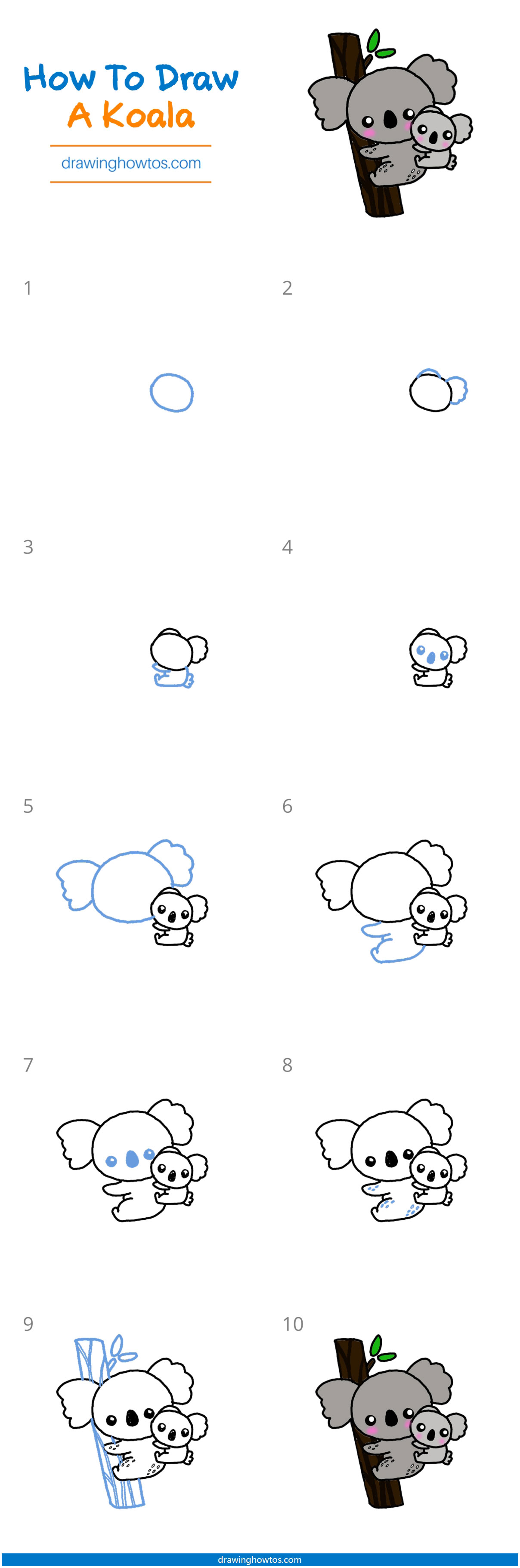 How to Draw a Koala Step by Step