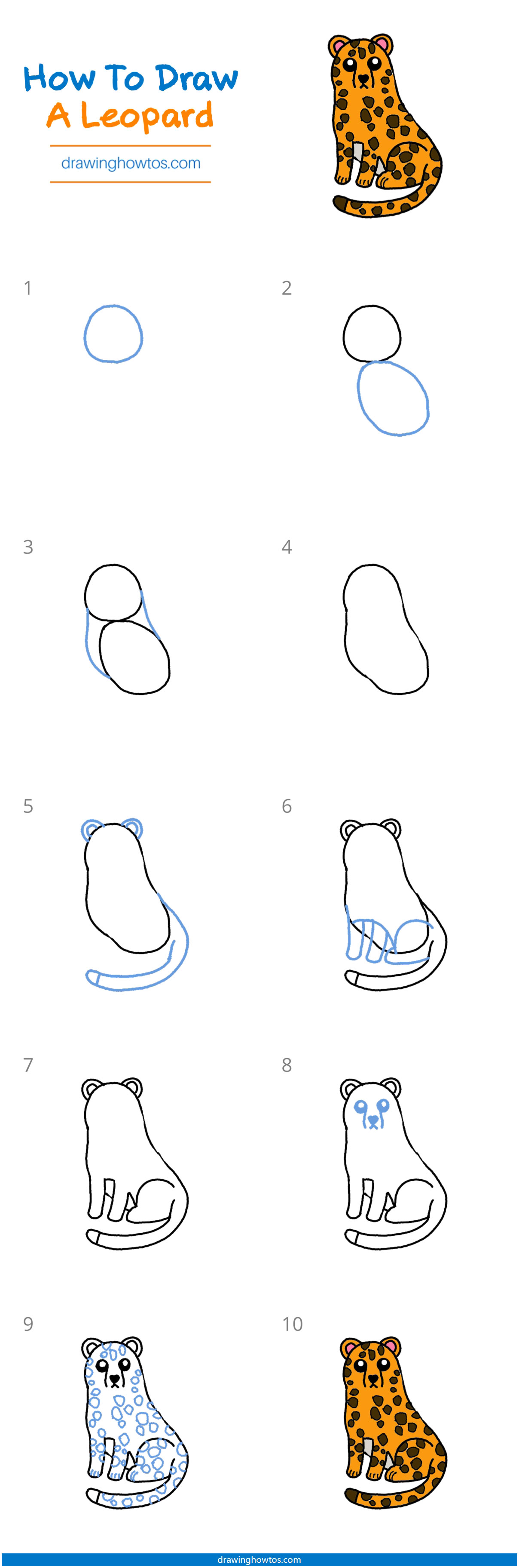 How to Draw an African Leopard Step by Step