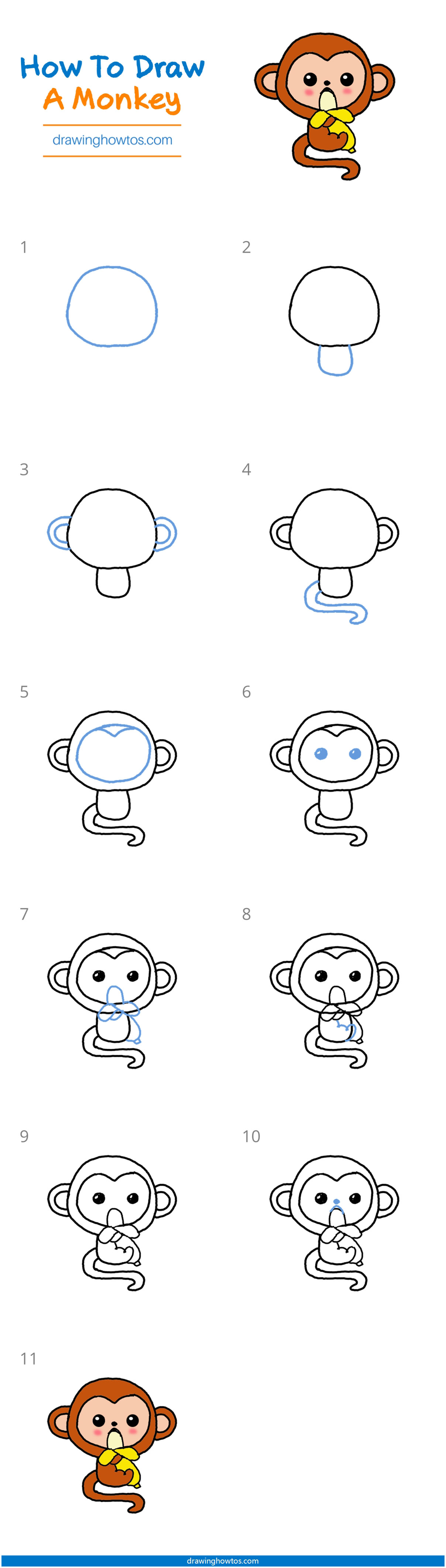 How to Draw a Cute Monkey Step by Step