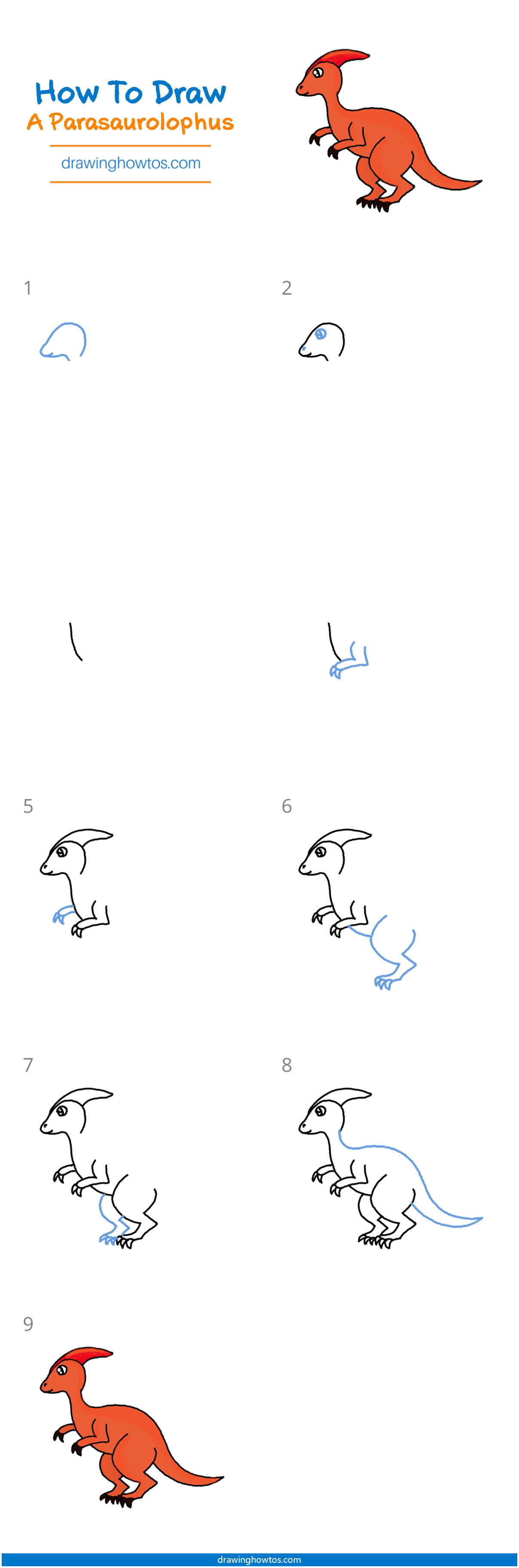 How to Draw a Parasaurolophus Step by Step