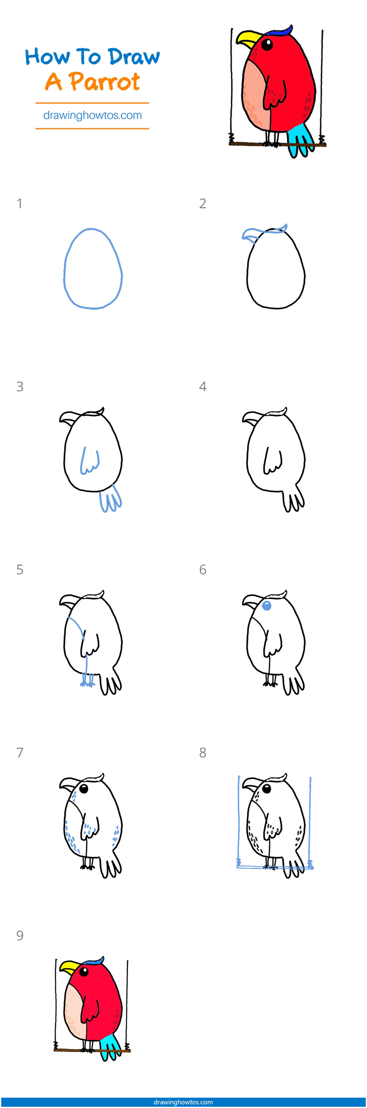 How to Draw a Parrot Step by Step