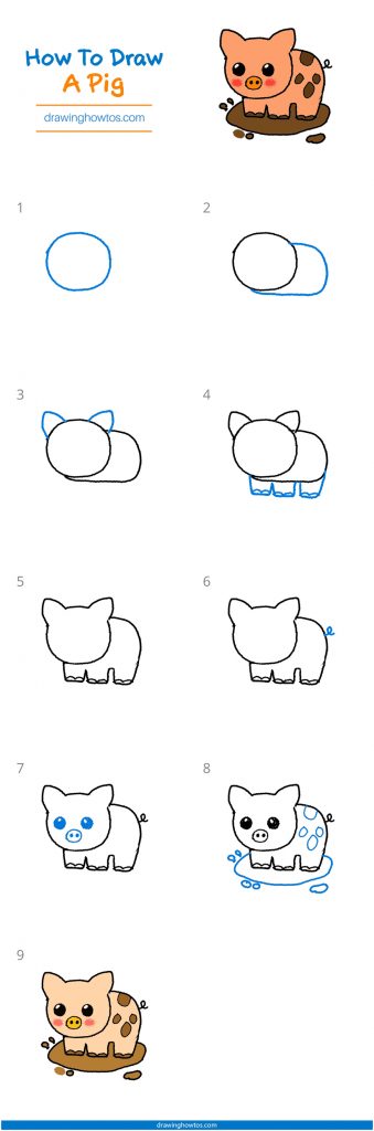 How to Draw a Pig - Step by Step Easy Drawing Guides - Drawing Howtos