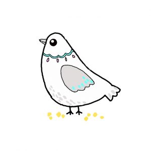 How to Draw a Pigeon Easy