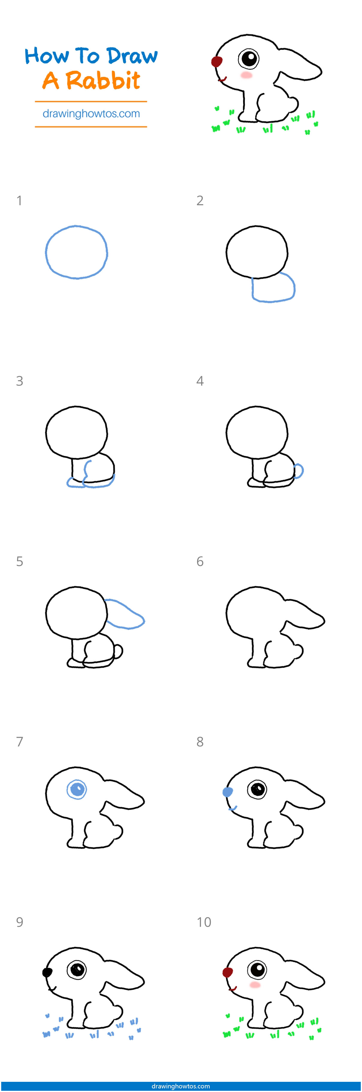 How to Draw a Rabbit Step by Step