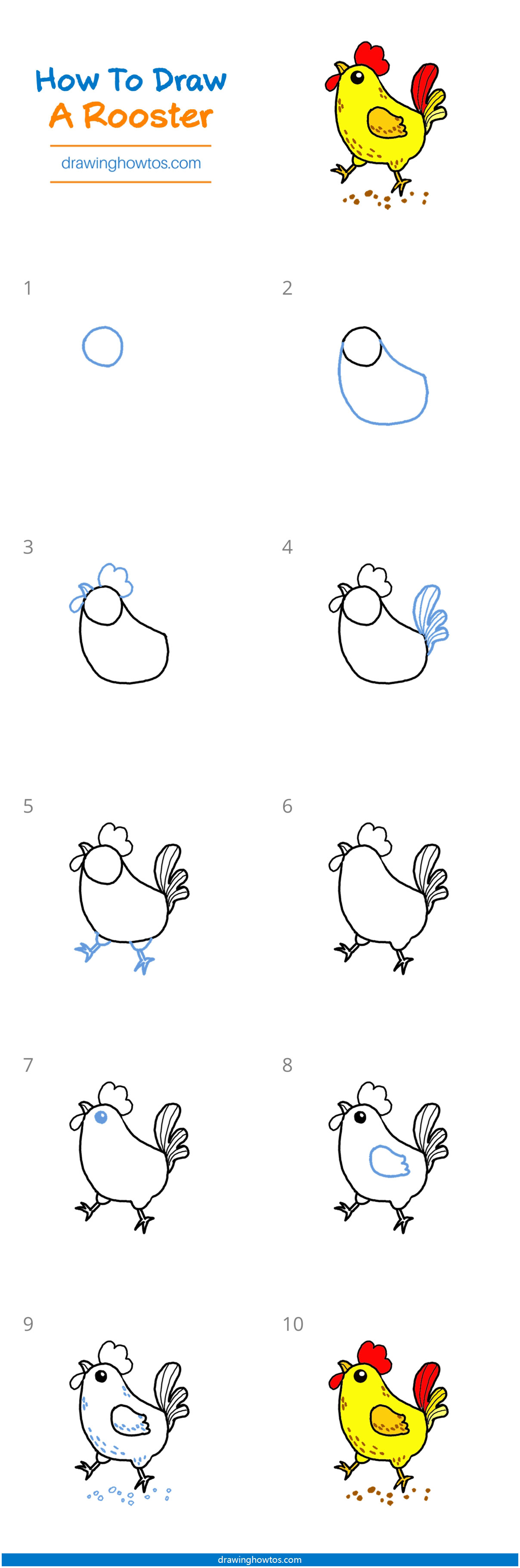 How to Draw a Rooster Step by Step