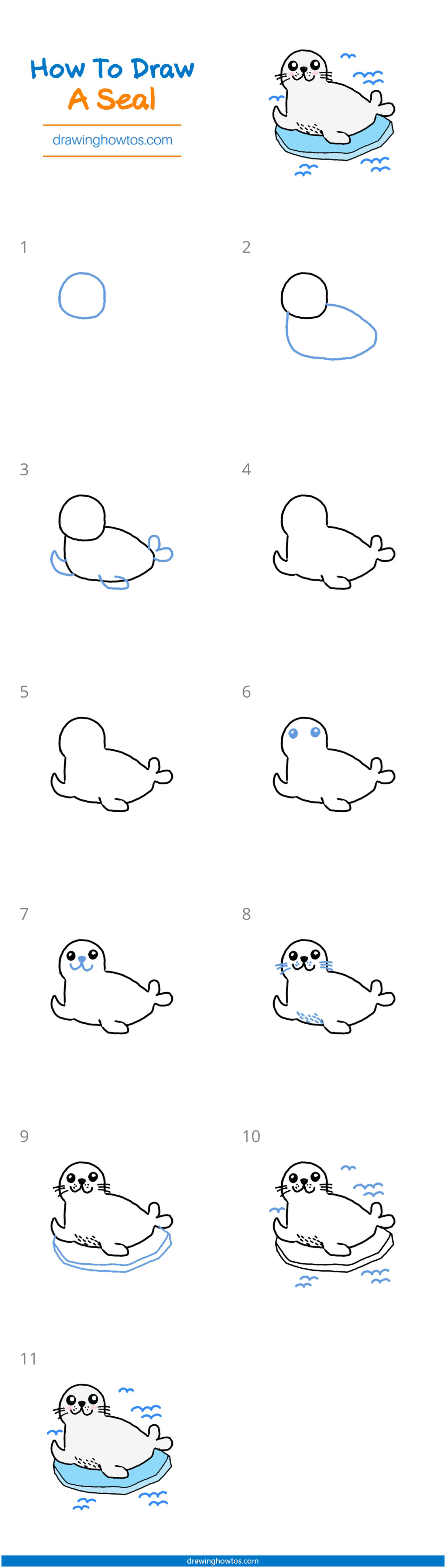 How to Draw a Seal Step by Step
