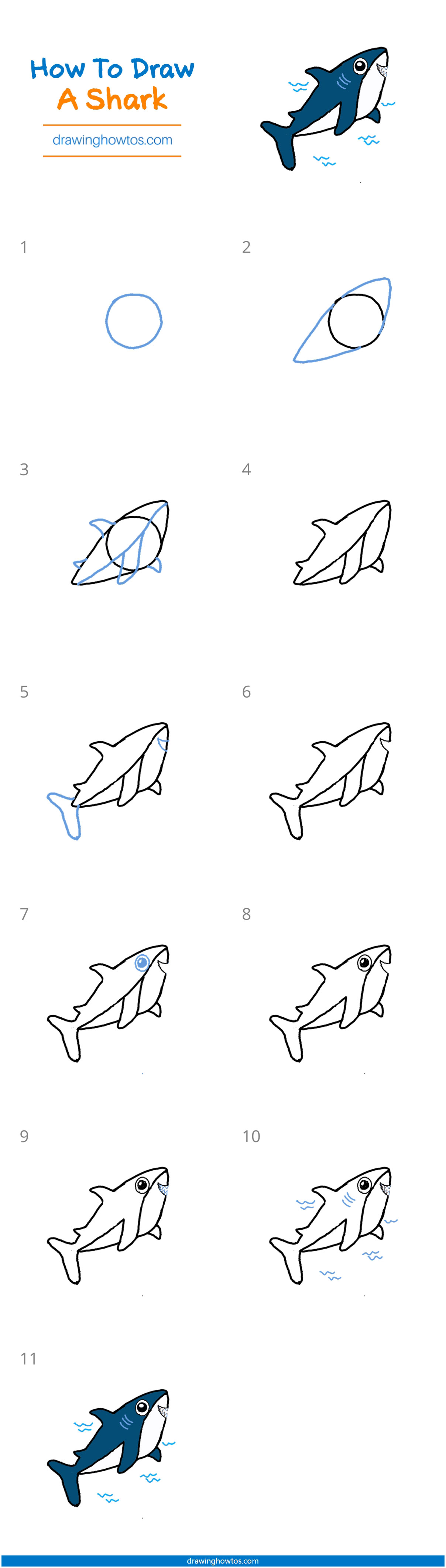 How to Draw a Shark Step by Step