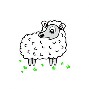How to Draw a Sheep Easy