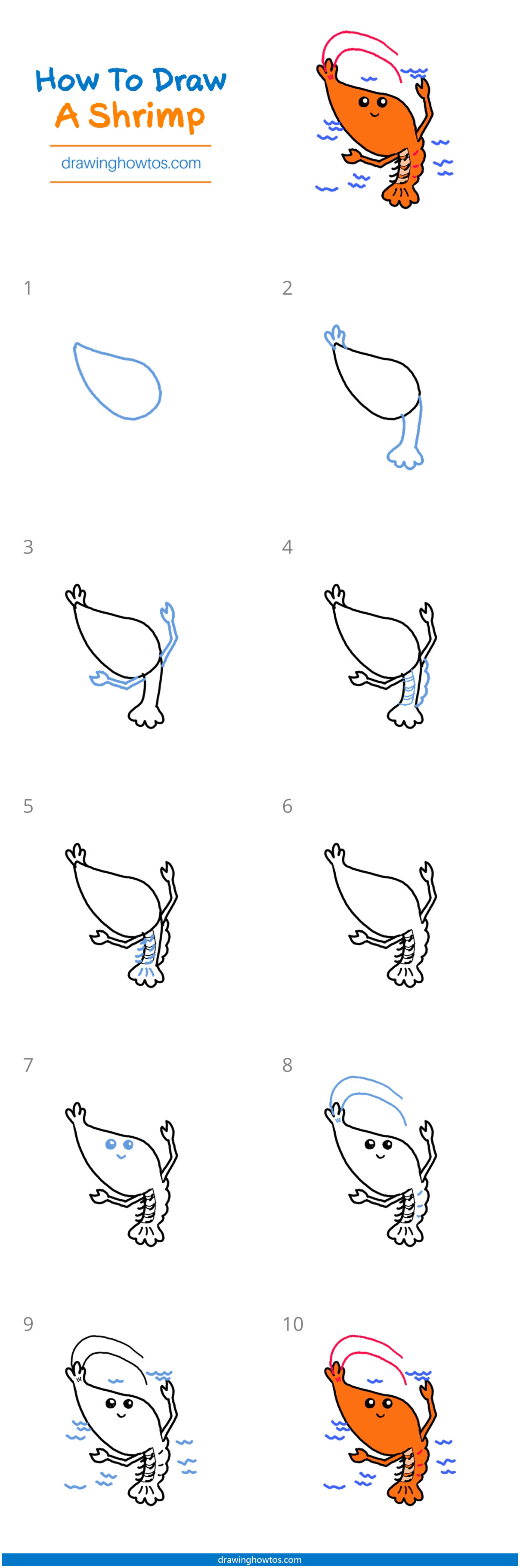 How to Draw a Shrimp - Step by Step Easy Drawing Guides - Drawing Howtos