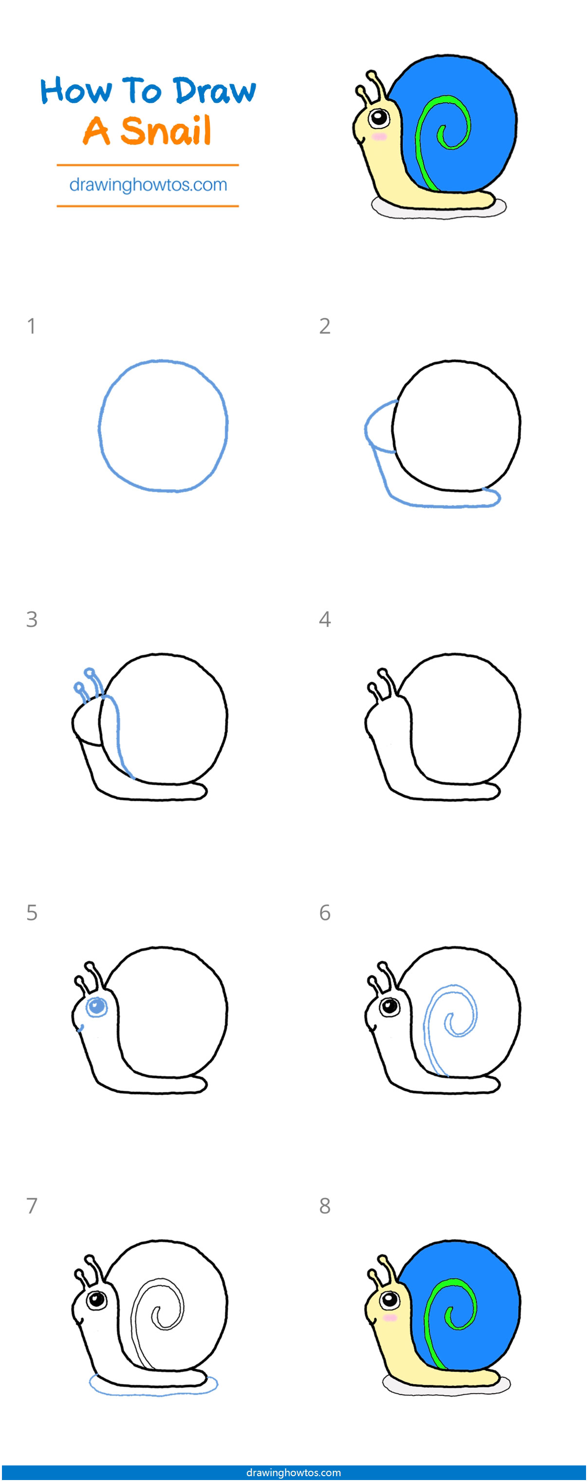 How to Draw a Snail Step by Step