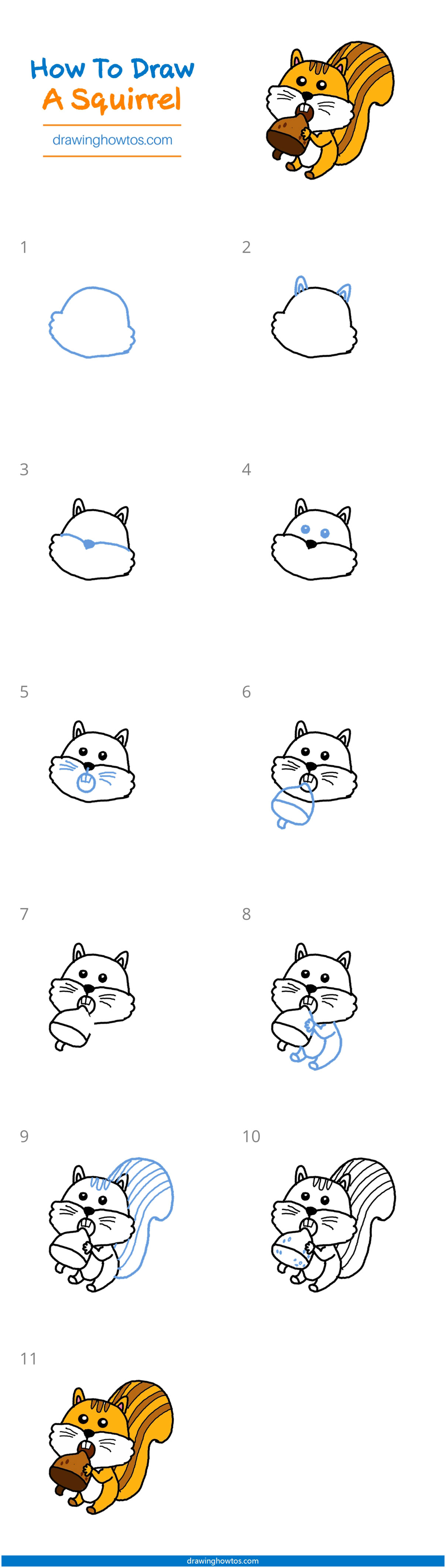 How to Draw a Squirrel Step by Step