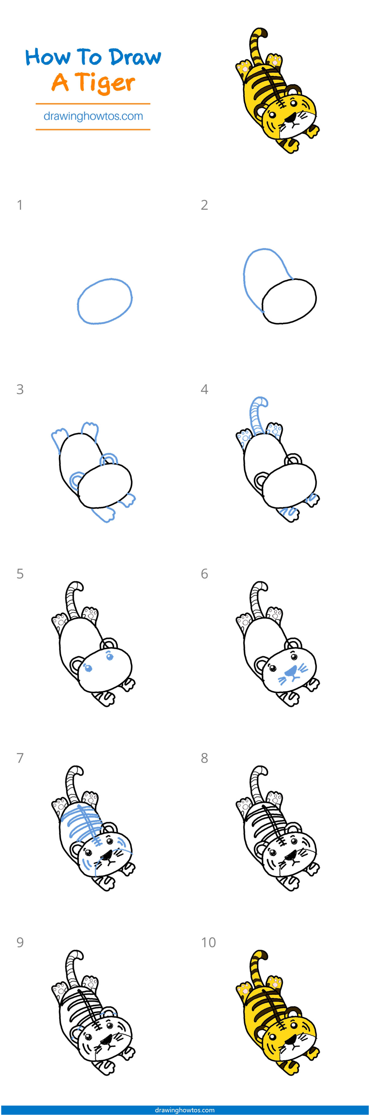 How to Draw a Tiger Step by Step