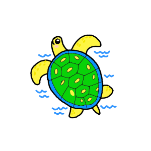 How to Draw a Turtle Easy