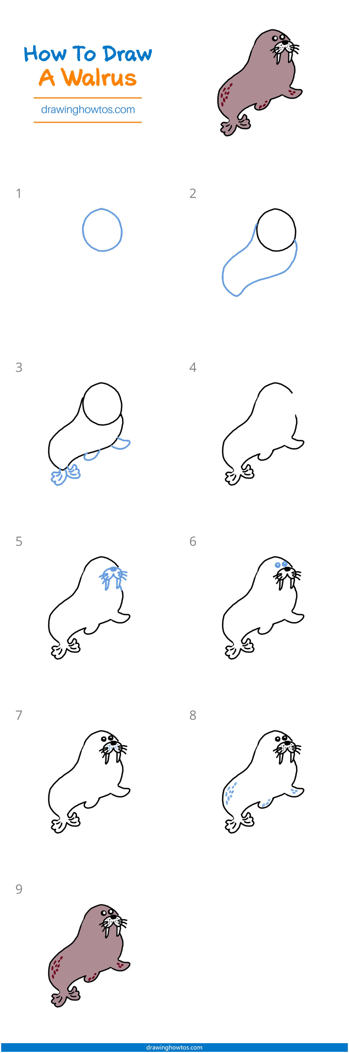 How to Draw a Walurs Step by Step