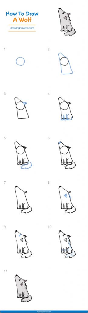 How to Draw a Wolf - Step by Step Easy Drawing Guides - Drawing Howtos