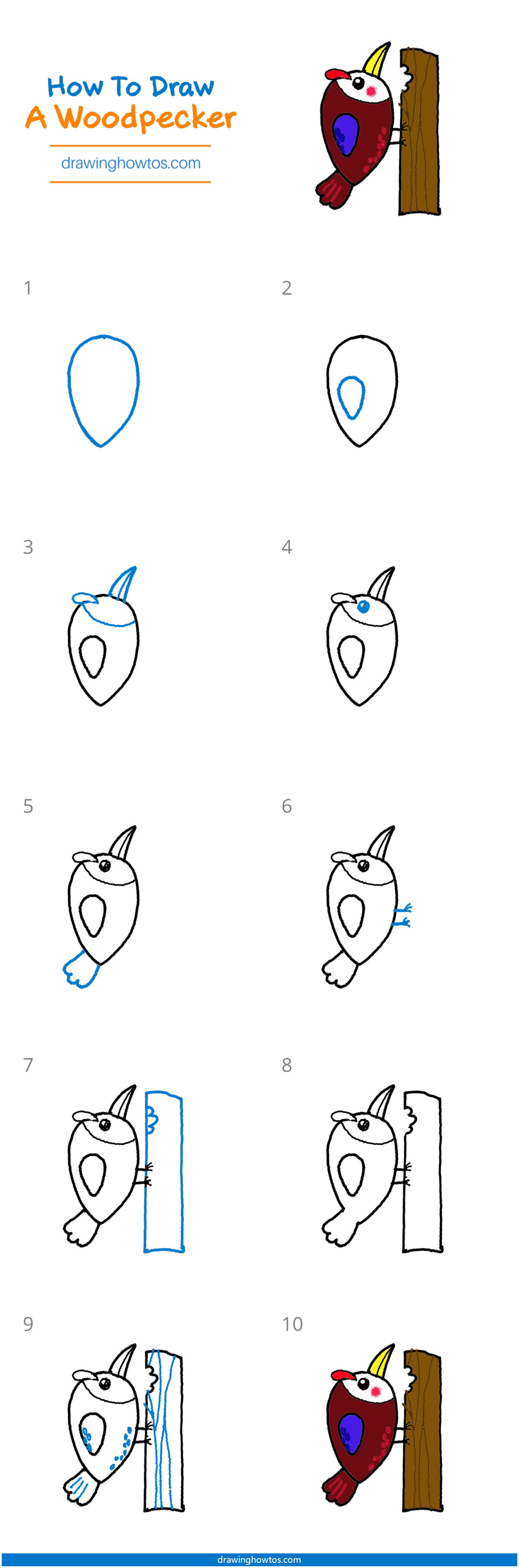 How to Draw a Woodpecker - Step by Step Easy Drawing Guides - Drawing