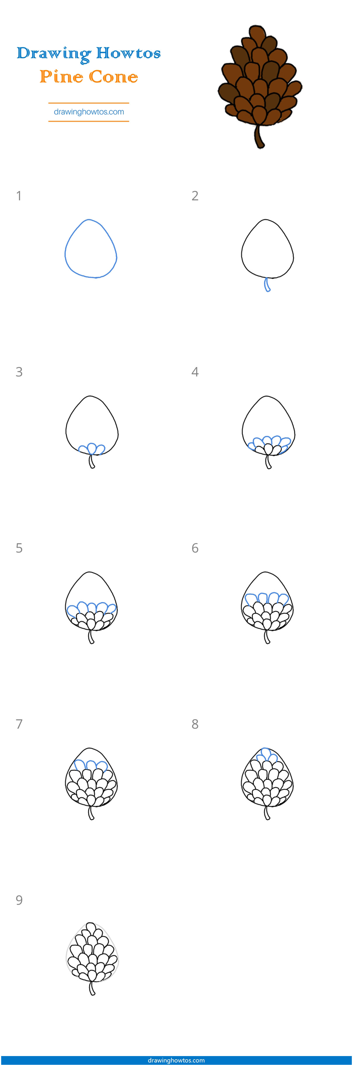 How to Draw a Pine Cone Step by Step