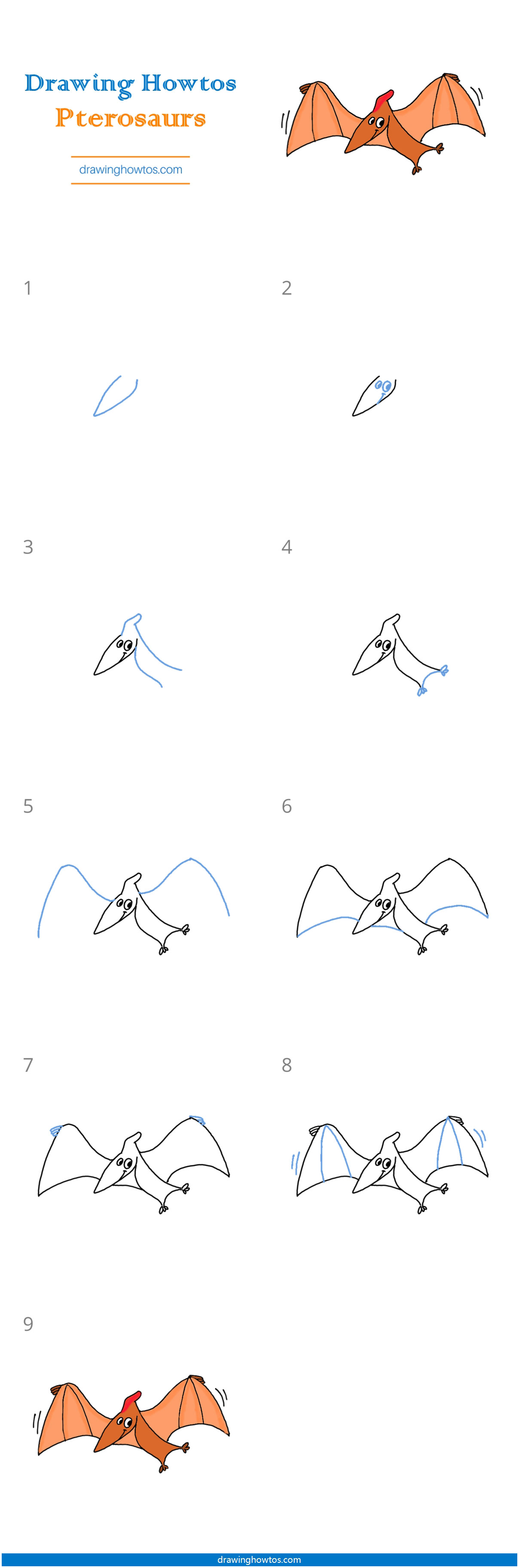 How To Draw a Pterodactyl Step by Step