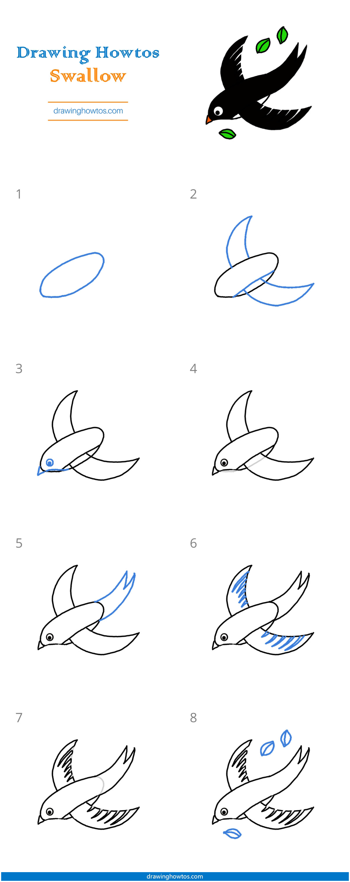 How to Draw a Swallow Step by Step
