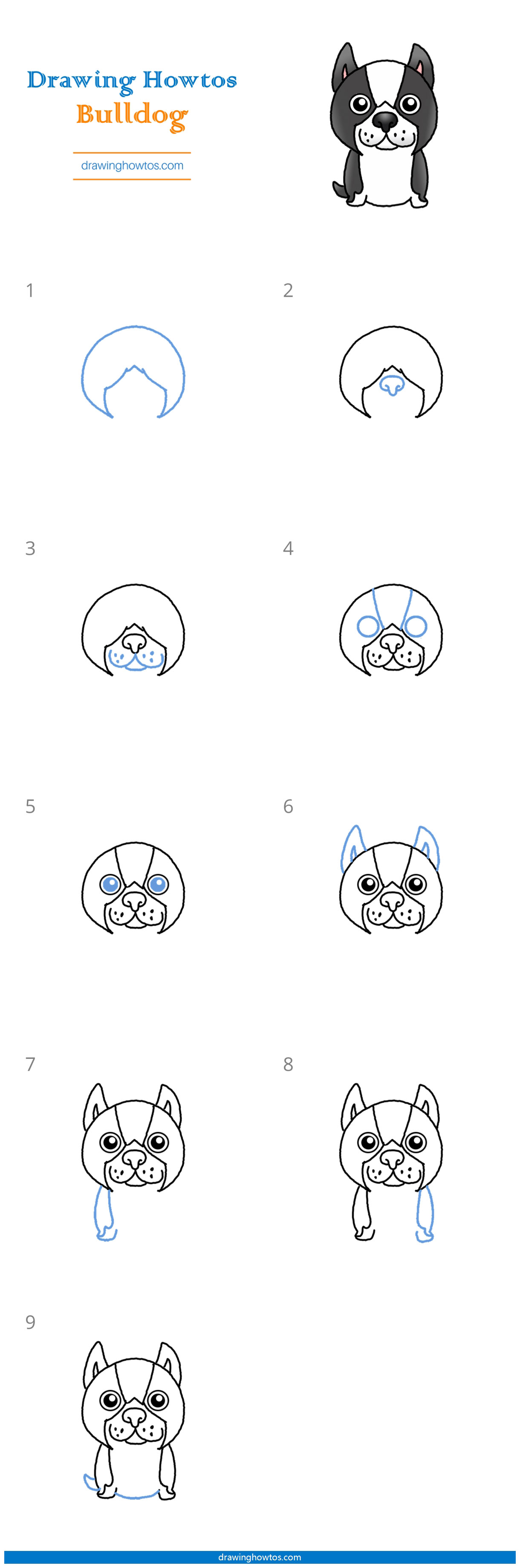 How to Draw a Bulldog Step by Step