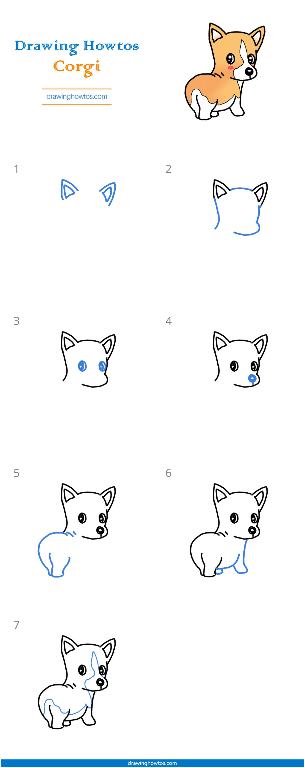 How to Draw a Corgi Step by Step