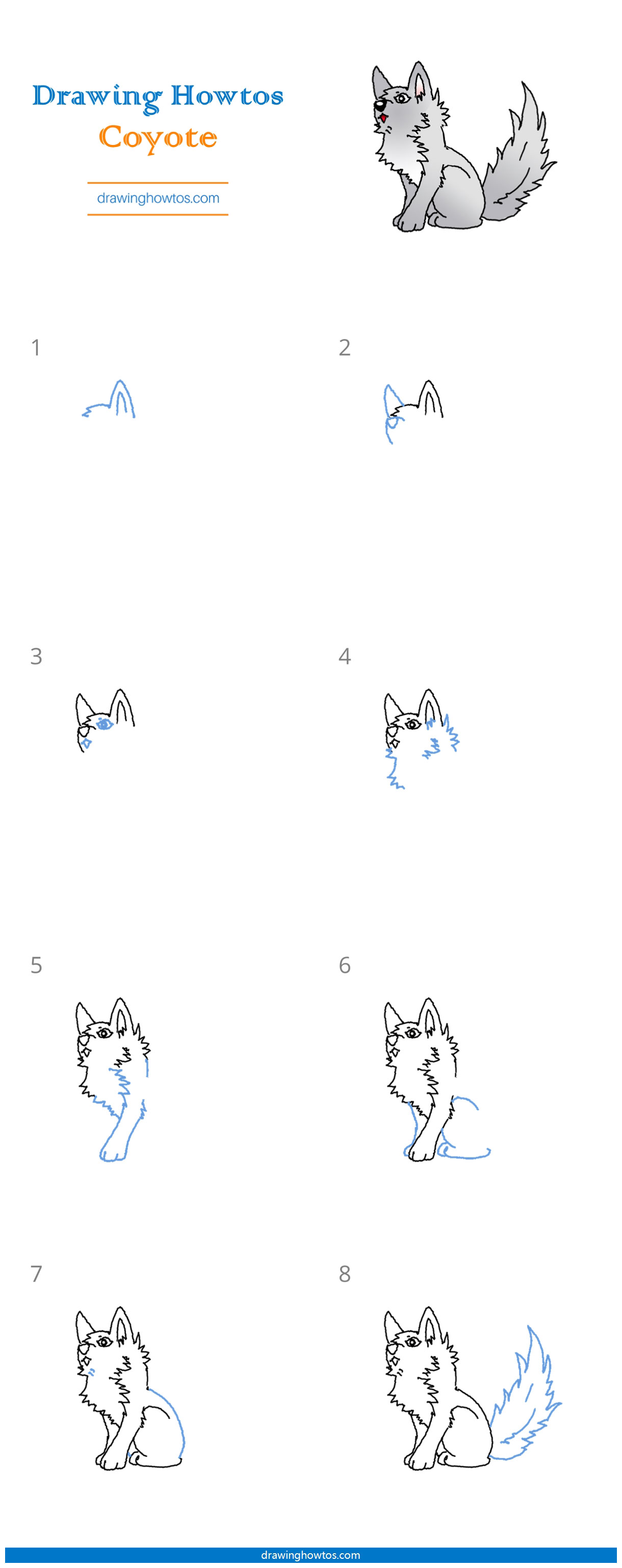 How to Draw a Coyote Step by Step