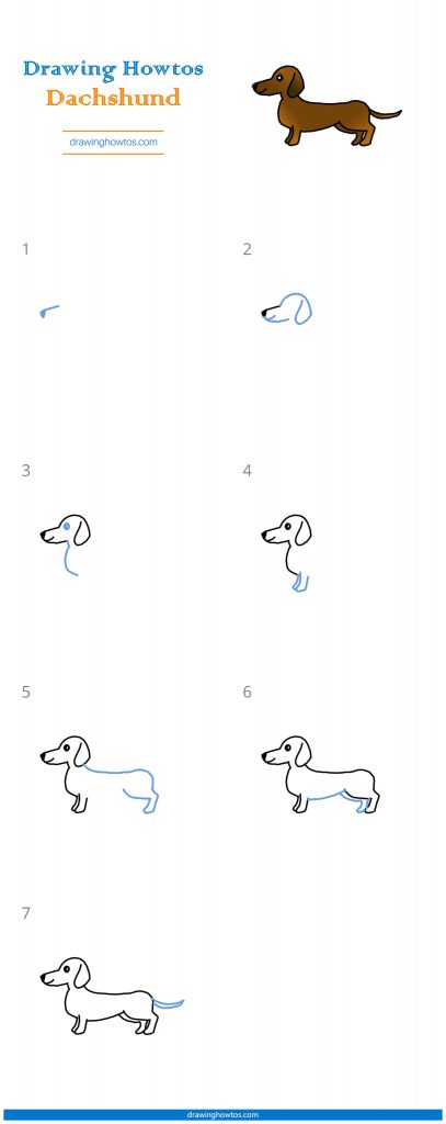 How to Draw a Dachshund - Step by Step Easy Drawing Guides - Drawing Howtos