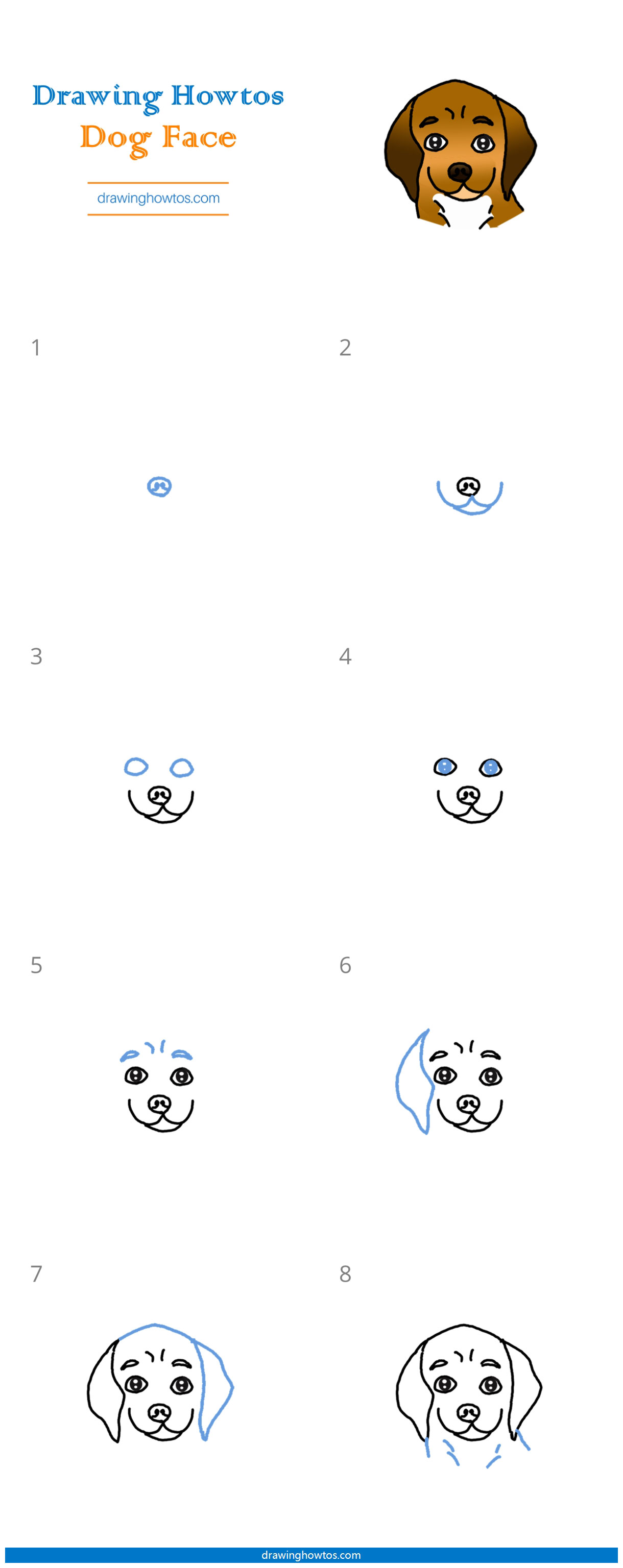 How to Draw a Dog Face - Step by Step Easy Drawing Guides - Drawing Howtos
