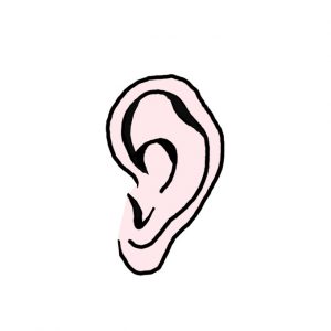 How to Draw an Ear Easy
