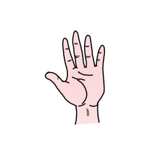 How to Draw a Hand Easy