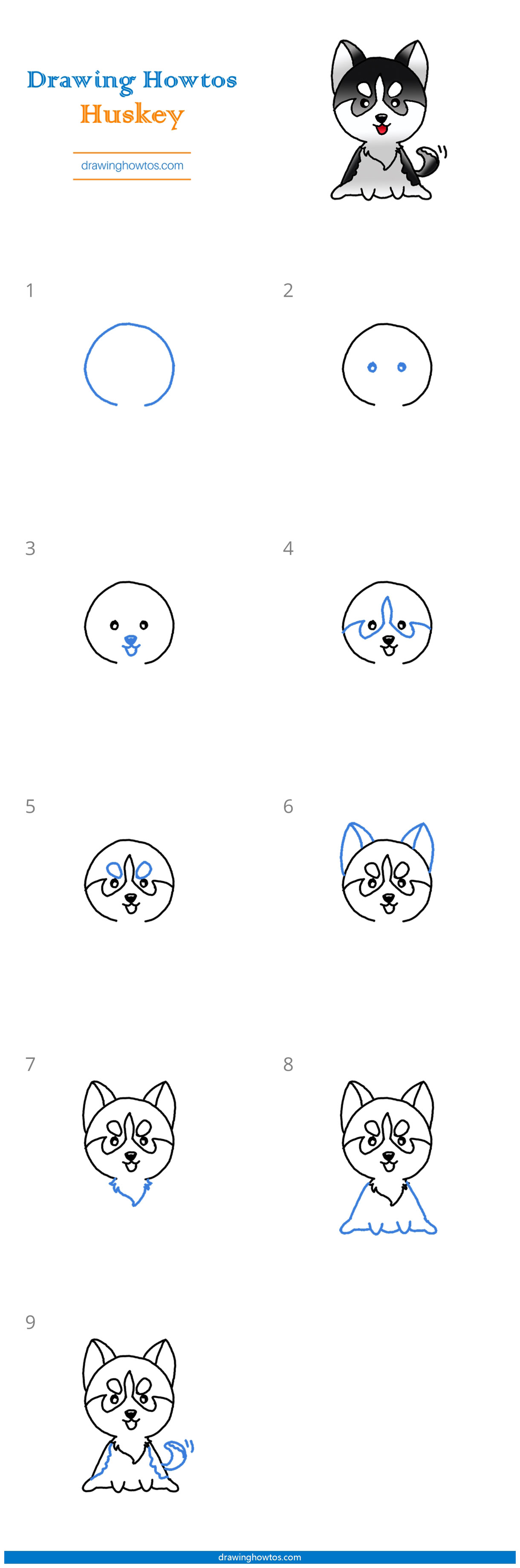 How to Draw a Husky Step by Step