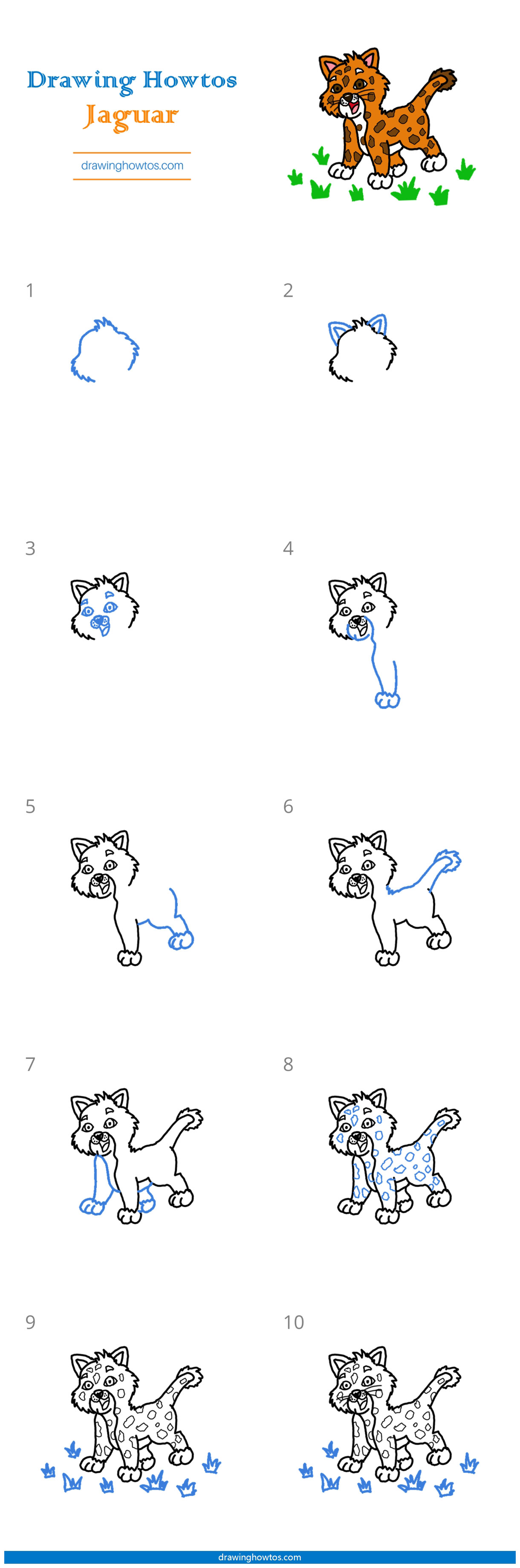 How to Draw a Cute Jaguar Step by Step