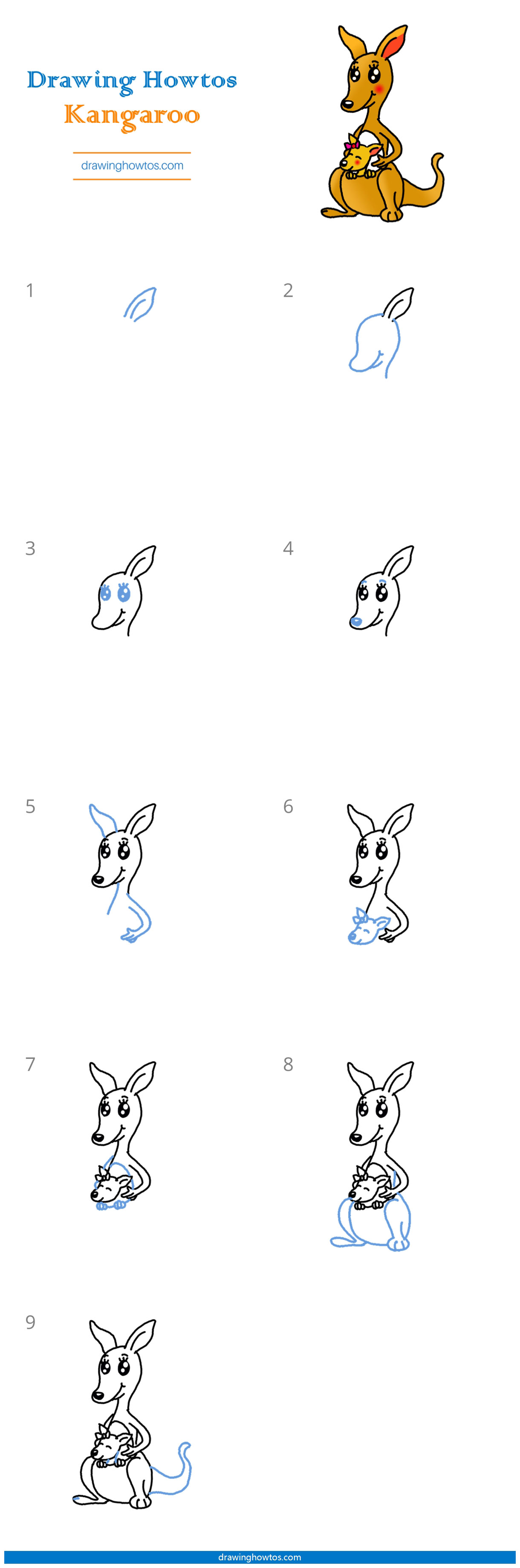 kangaroo how to draw steps all