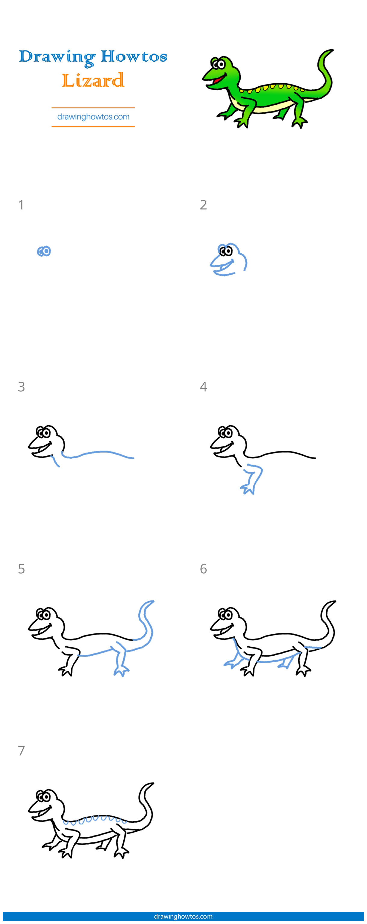 How to Draw a Lizard Step by Step