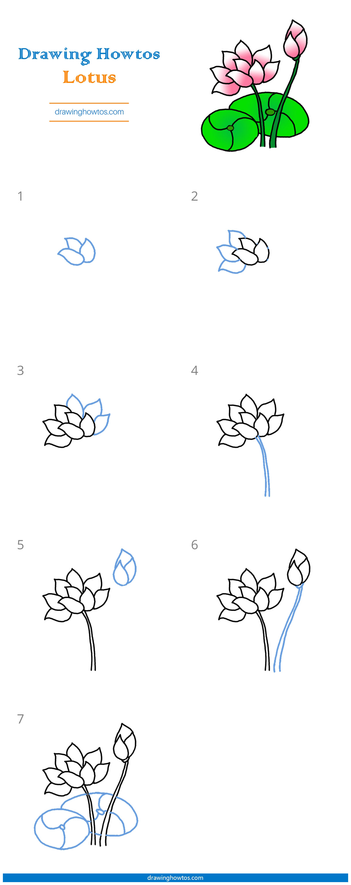 How to Draw a Lotus Step by Step