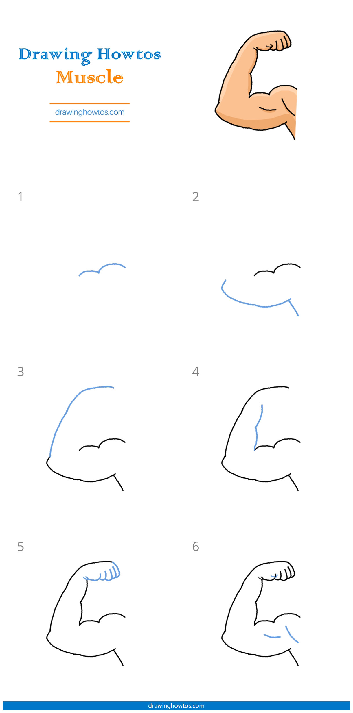 How to Draw Arm Muscles Step by Step