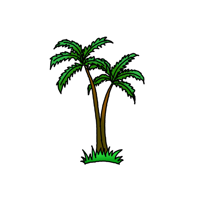 How to Draw Palm Trees Easy