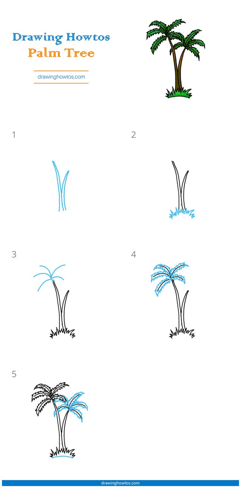 How to Draw Palm Trees - Step by Step Easy Drawing Guides - Drawing Howtos