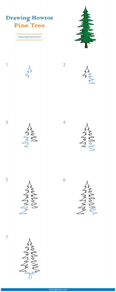 How to Draw a Pine Tree - Step by Step Easy Drawing Guides - Drawing Howtos