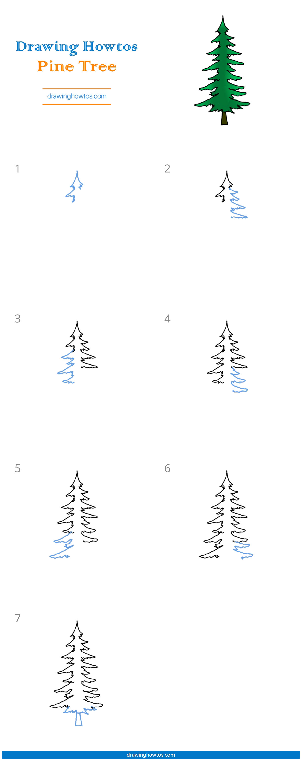 How to Draw a Pine Tree Step by Step