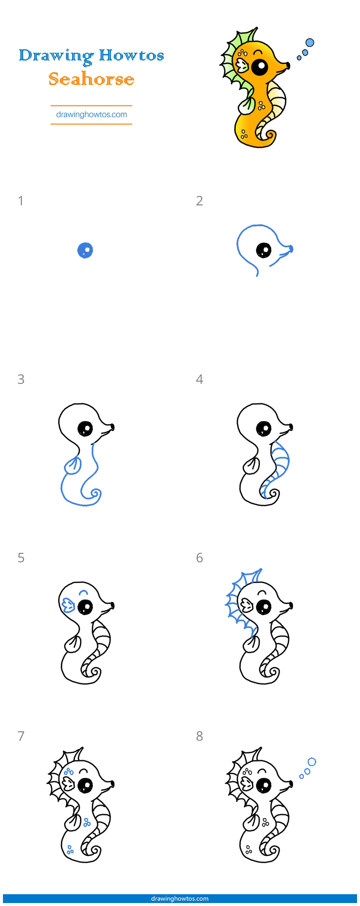 How to Draw a Seahorse Step by Step